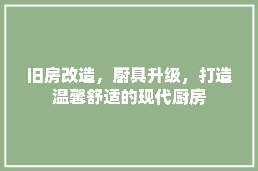 旧房改造,厨具升级,打造温馨舒适的现代厨房 装修攻略 旧房改造,厨具升级,打造温馨舒适的现代厨房 装修攻略