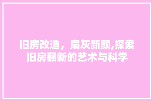 旧房改造，扇灰新颜,探索旧房翻新的艺术与科学