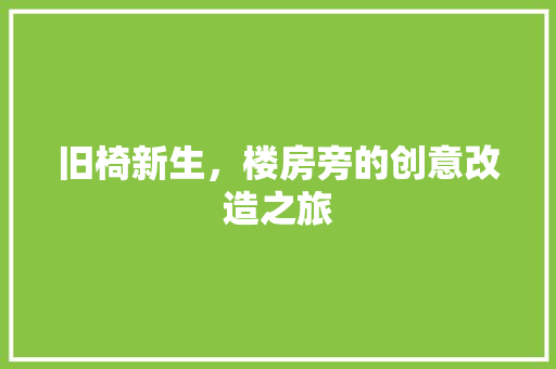 旧椅新生，楼房旁的创意改造之旅