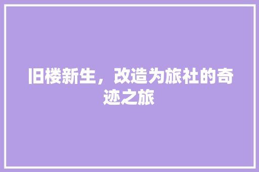 旧楼新生，改造为旅社的奇迹之旅