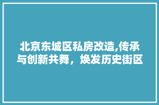 北京东城区私房改造,传承与创新共舞，焕发历史街区新活力