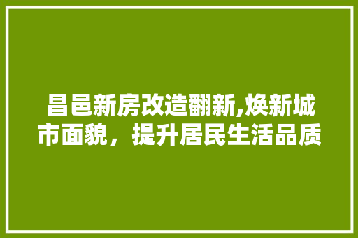 昌邑新房改造翻新,焕新城市面貌，提升居民生活品质 景观设计