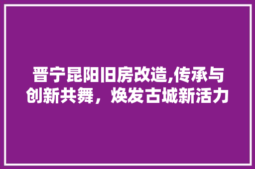晋宁昆阳旧房改造,传承与创新共舞，焕发古城新活力 墙面装饰