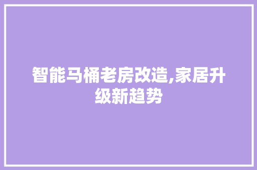 智能马桶老房改造,家居升级新趋势