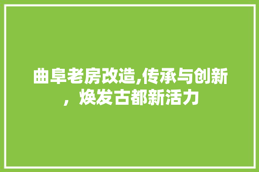 曲阜老房改造,传承与创新，焕发古都新活力 隔断设计