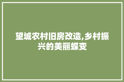 望城农村旧房改造,乡村振兴的美丽蝶变
