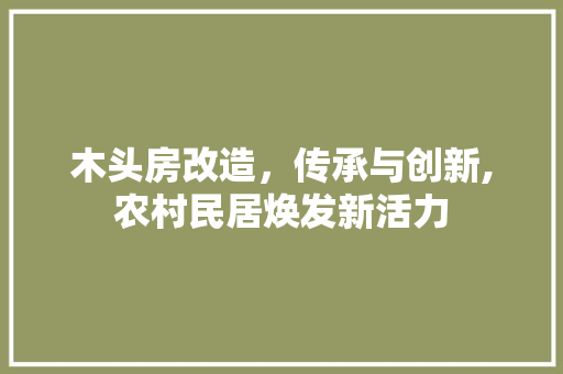 木头房改造，传承与创新,农村民居焕发新活力
