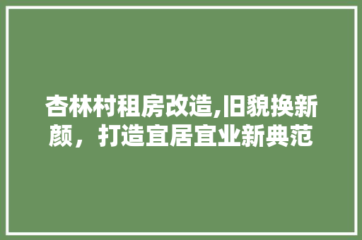 杏林村租房改造,旧貌换新颜，打造宜居宜业新典范