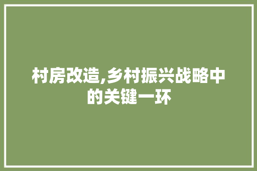 村房改造,乡村振兴战略中的关键一环