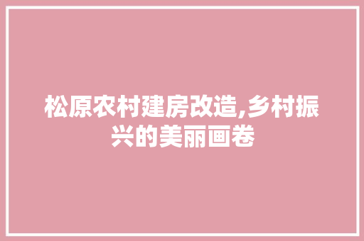 松原农村建房改造,乡村振兴的美丽画卷