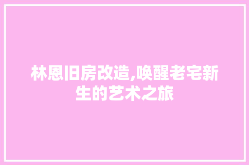 林恩旧房改造,唤醒老宅新生的艺术之旅 门窗装修