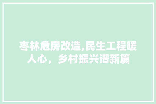 枣林危房改造,民生工程暖人心，乡村振兴谱新篇 建筑设计