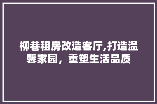 柳巷租房改造客厅,打造温馨家园，重塑生活品质