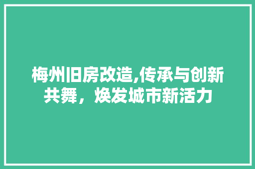 梅州旧房改造,传承与创新共舞，焕发城市新活力 建筑设计
