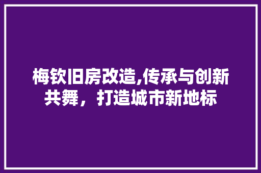 梅钦旧房改造,传承与创新共舞，打造城市新地标