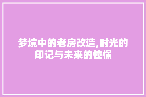 梦境中的老房改造,时光的印记与未来的憧憬 庭院装修