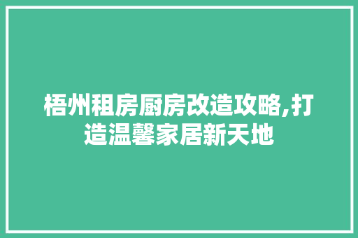 梧州租房厨房改造攻略,打造温馨家居新天地 庭院装修