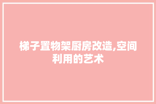 梯子置物架厨房改造,空间利用的艺术 庭院装修