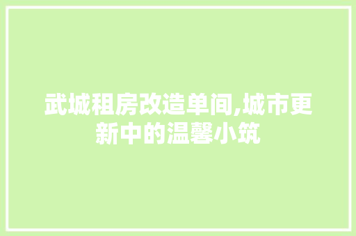 武城租房改造单间,城市更新中的温馨小筑 景观设计