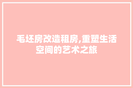 毛坯房改造租房,重塑生活空间的艺术之旅 隔断设计