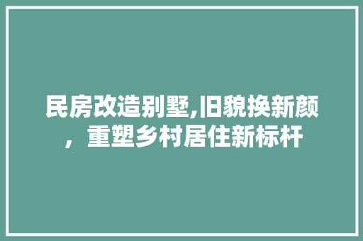 民房改造别墅,旧貌换新颜，重塑乡村居住新标杆 门窗装修