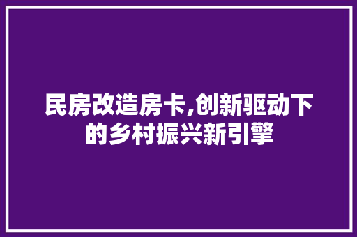 民房改造房卡,创新驱动下的乡村振兴新引擎 地面装修