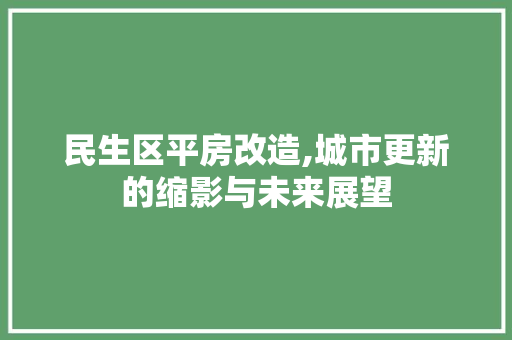 民生区平房改造,城市更新的缩影与未来展望