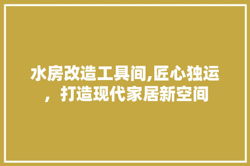 水房改造工具间,匠心独运，打造现代家居新空间 景观设计