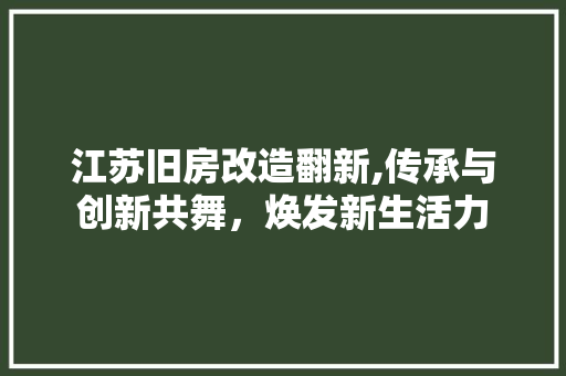江苏旧房改造翻新,传承与创新共舞，焕发新生活力