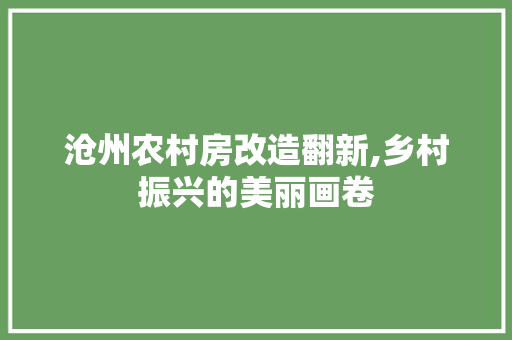 沧州农村房改造翻新,乡村振兴的美丽画卷