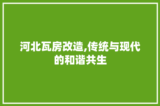 河北瓦房改造,传统与现代的和谐共生 庭院装修