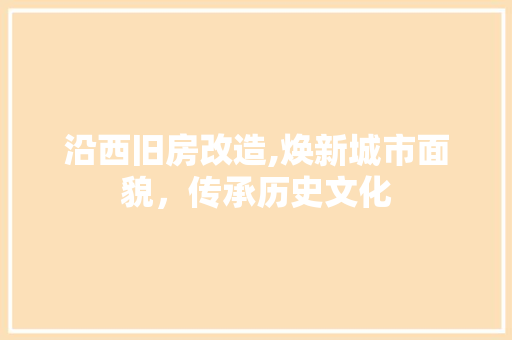 沿西旧房改造,焕新城市面貌，传承历史文化