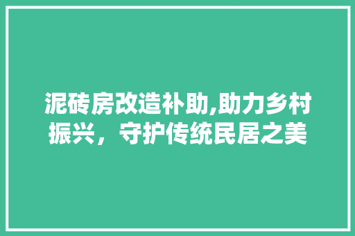 泥砖房改造补助,助力乡村振兴,守护传统民居之美