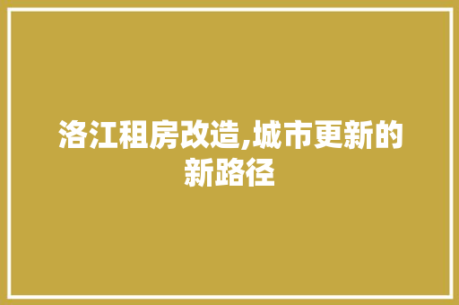 洛江租房改造,城市更新的新路径