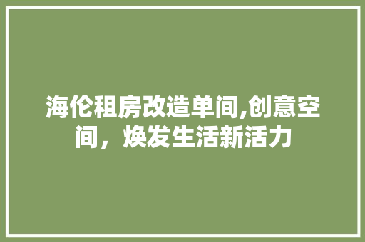 海伦租房改造单间,创意空间，焕发生活新活力