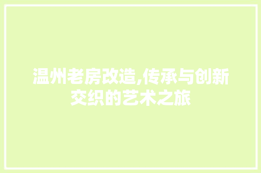温州老房改造,传承与创新交织的艺术之旅 庭院装修
