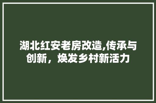 湖北红安老房改造,传承与创新，焕发乡村新活力 墙面装饰