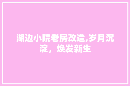 湖边小院老房改造,岁月沉淀，焕发新生