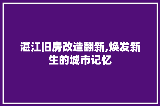 湛江旧房改造翻新,焕发新生的城市记忆