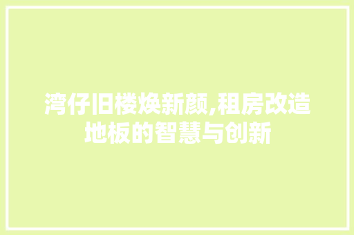 湾仔旧楼焕新颜,租房改造地板的智慧与创新 隔断设计