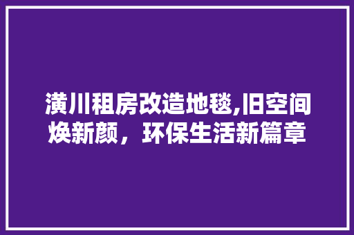 潢川租房改造地毯,旧空间焕新颜，环保生活新篇章