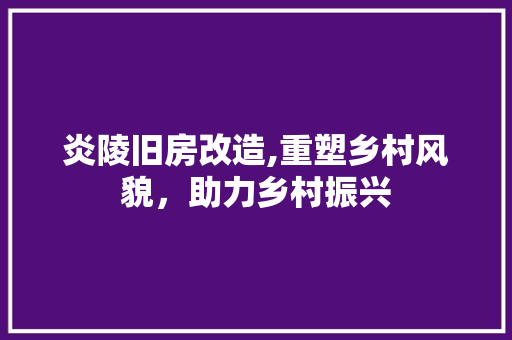 炎陵旧房改造,重塑乡村风貌，助力乡村振兴 庭院装修