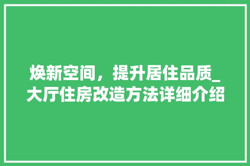 焕新空间，提升居住品质_大厅住房改造方法详细介绍 隔断设计
