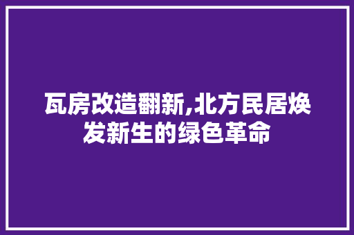 瓦房改造翻新,北方民居焕发新生的绿色革命