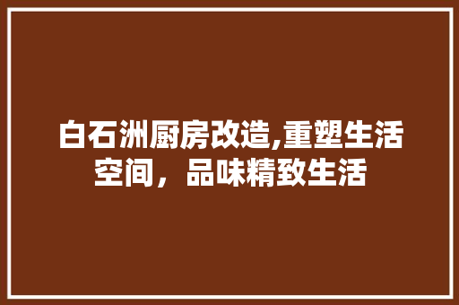 白石洲厨房改造,重塑生活空间，品味精致生活 装修攻略
