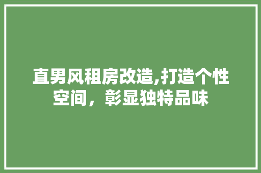 直男风租房改造,打造个性空间,彰显独特品味 墙面装饰 直男风租房改造,打造个性空间,彰显独特品味 墙面装饰