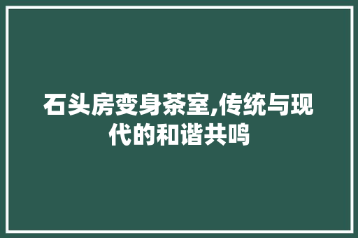 石头房变身茶室,传统与现代的和谐共鸣 墙面装饰