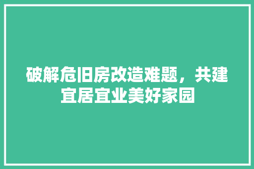 破解危旧房改造难题，共建宜居宜业美好家园 地面装修