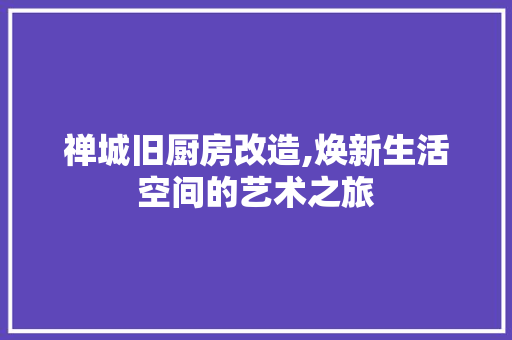 禅城旧厨房改造,焕新生活空间的艺术之旅