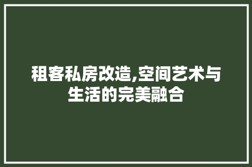 租客私房改造,空间艺术与生活的完美融合 隔断设计